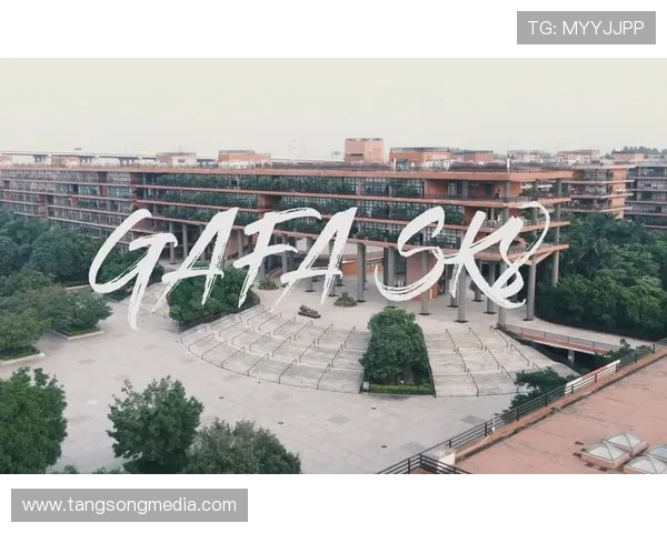 广州滑板队的精神追求与团队意识探讨 广州滑板队的精神追求与团队意识探讨