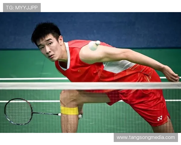 权威发布羽毛球个人能力实力榜单揭晓顶尖选手风采与潜力分析 权威发布羽毛球个人能力实力榜单揭晓顶尖选手风采与潜力分析