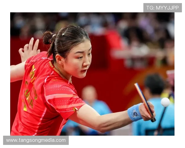 杭州乒乓球队的拼搏历程与欧锦赛荣耀之路的特别报道 杭州乒乓球队的拼搏历程与欧锦赛荣耀之路的特别报道