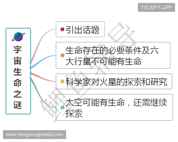 武汉乒乓球队的精神探索与发展之路揭秘 武汉乒乓球队的精神探索与发展之路揭秘