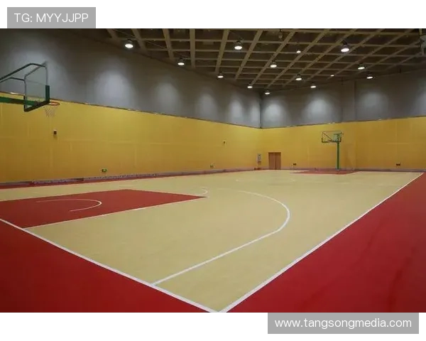 羽毛球灵活性评比结果揭晓深圳羽毛球队荣登榜首引发关注