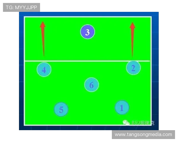 重庆排球队进攻策略全解析深度剖析排球战术与团队协作