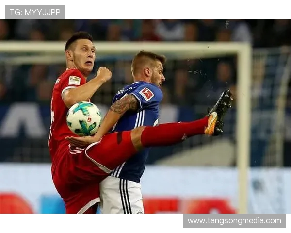 2010年德甲经典对决沙尔克04与拜仁慕尼黑的激烈较量回顾 2010年德甲经典对决沙尔克04与拜仁慕尼黑的激烈较量回顾