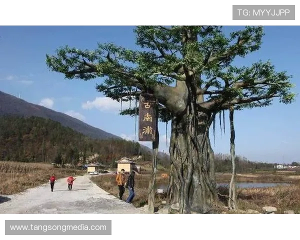 安阳与利川市民的文化交流与生活方式的碰撞与融合探讨 安阳与利川市民的文化交流与生活方式的碰撞与融合探讨