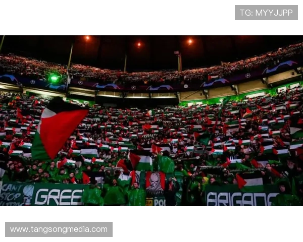 欧冠门票系统崩溃数万球迷排队抢票长达12小时无奈等待