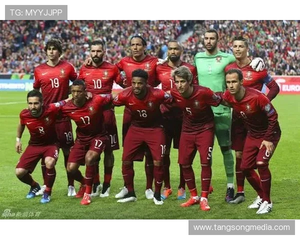 葡萄牙与塞尔维亚足球对决全方位分析及战术解析