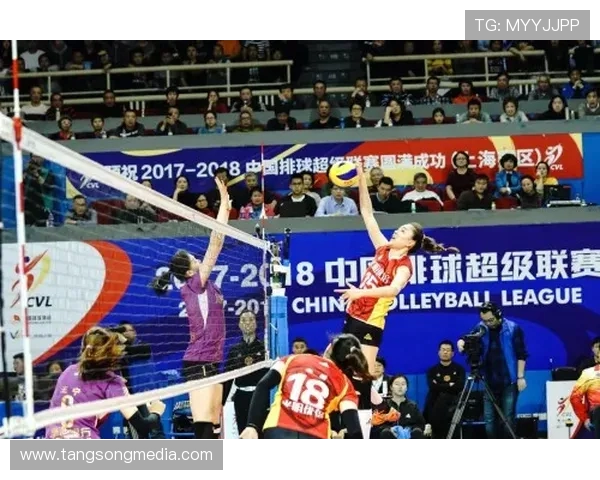 聚焦排球：深入探讨成都排球队的技术提升与战术创新之路