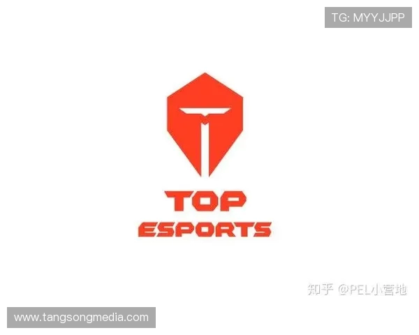 英雄联盟纪实：TES战队的蜕变与重生之路探秘