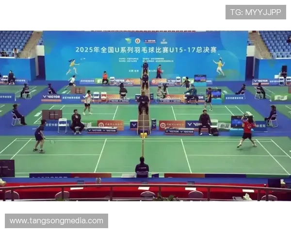 南京羽毛球队与西安羽毛球队赛后技术分析与战术复盘探讨