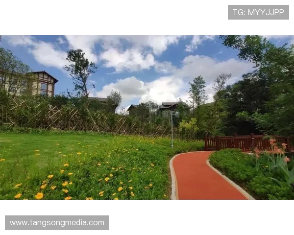 南京飞盘队在马拉松大满贯中的技术表现分析与点评