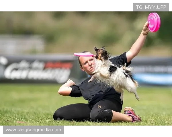 广州飞盘队的拼搏之路与极限运动联赛的梦想追逐