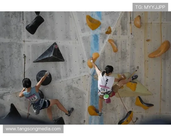 攀岩技术排行榜发布成都攀岩队荣获第八名佳绩引关注