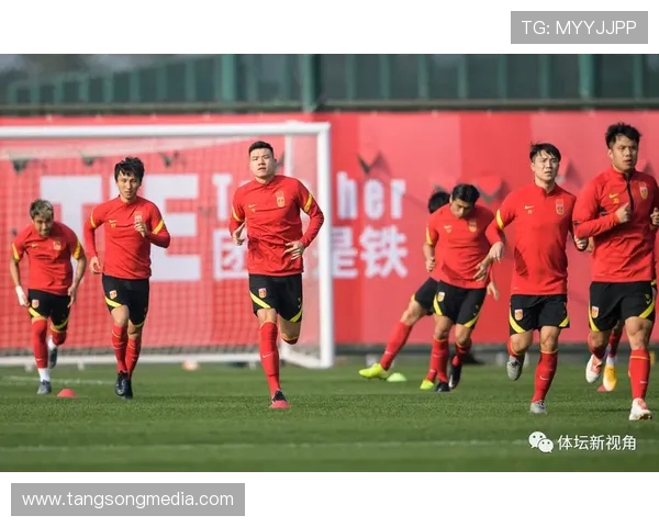 杭州足球队在锦标赛中的团队协作表现分析与点评展望